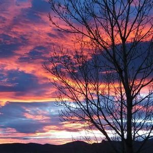 Meet your Posher, Kurtis